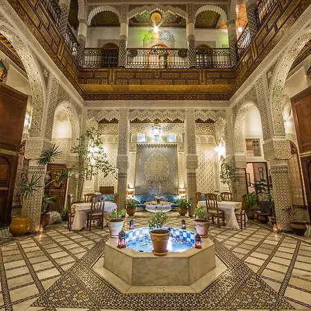 Riad Sara-3